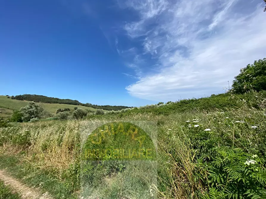 Immagine 22 di Terreno agricolo in vendita  in Contrada Strane snc a Cupello
