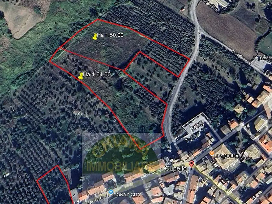 Immagine 22 di Terreno agricolo in vendita  in Contrada Strane snc a Cupello