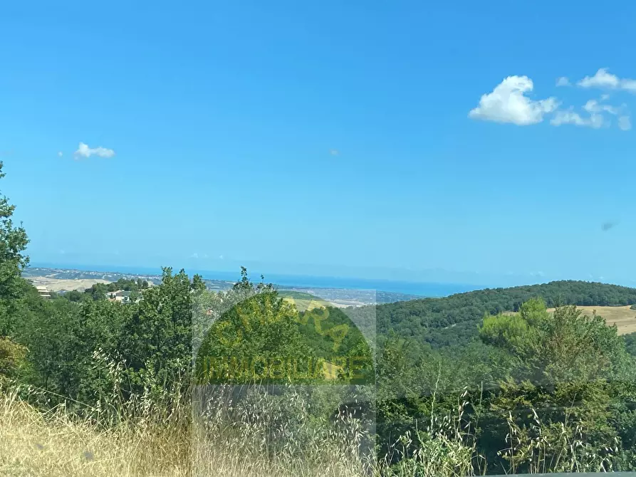 Immagine 64 di Casa indipendente in vendita  in Trento e Trieste a Carunchio