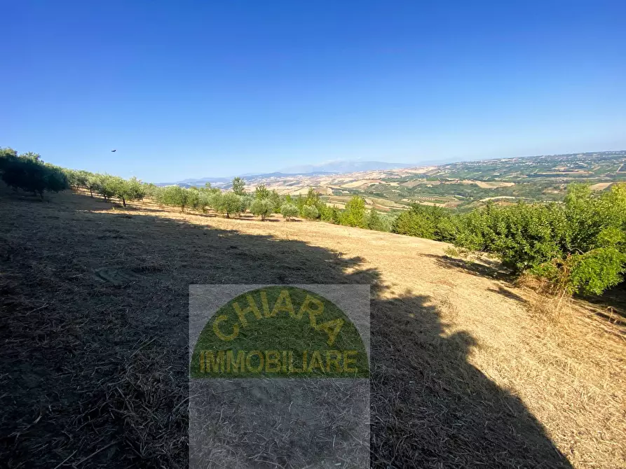 Immagine 19 di Terreno agricolo in vendita  a Cupello