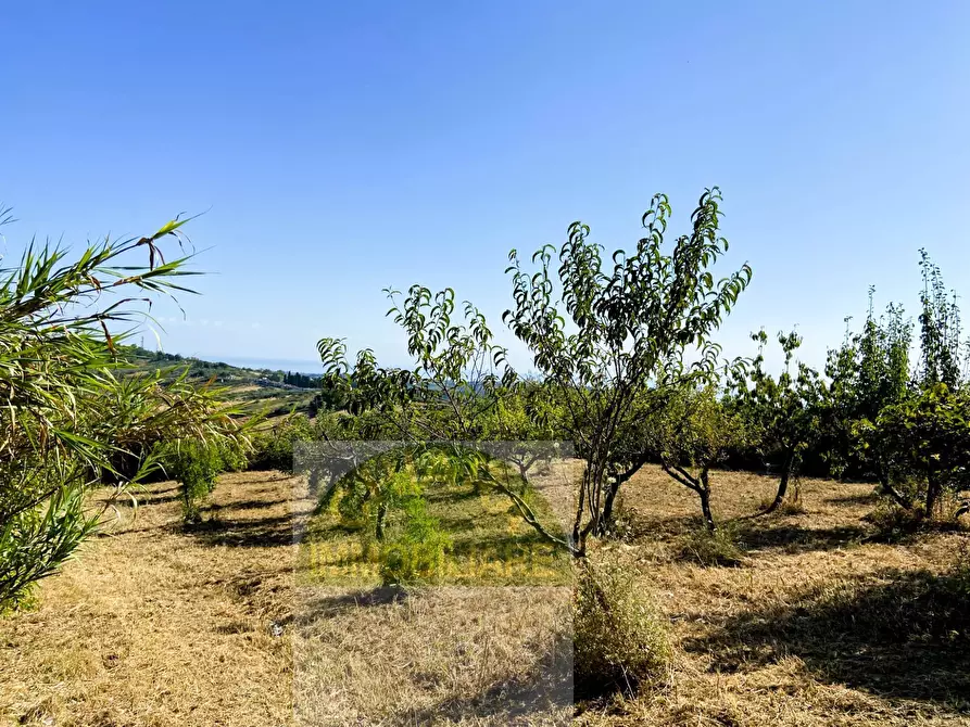 Immagine 10 di Terreno agricolo in vendita  a Cupello