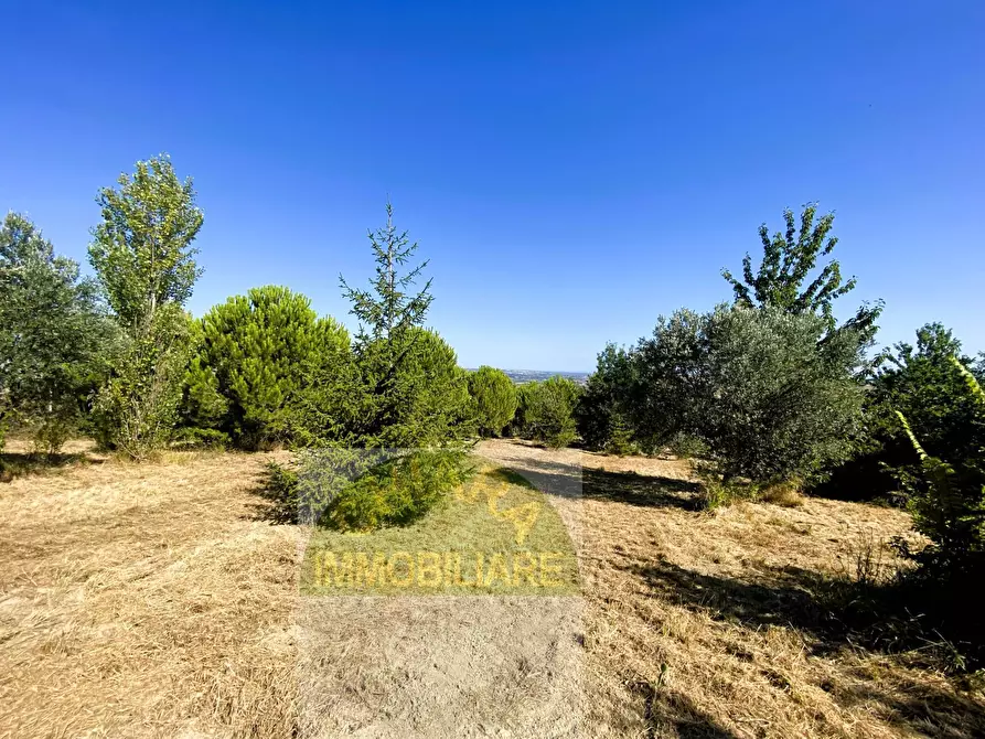 Immagine 15 di Terreno agricolo in vendita  a Cupello