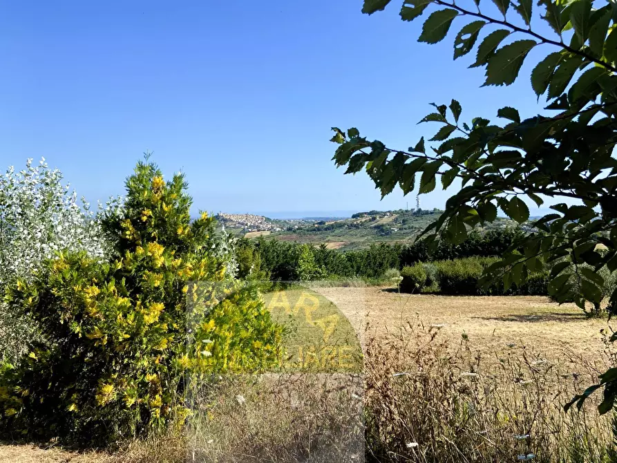 Immagine 13 di Terreno agricolo in vendita  a Cupello