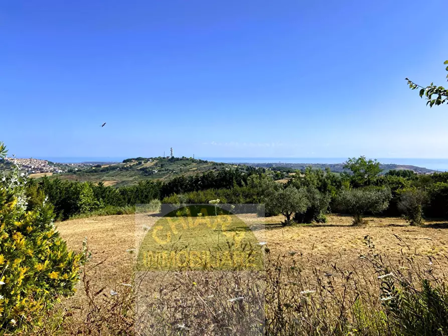 Immagine 7 di Terreno agricolo in vendita  a Cupello