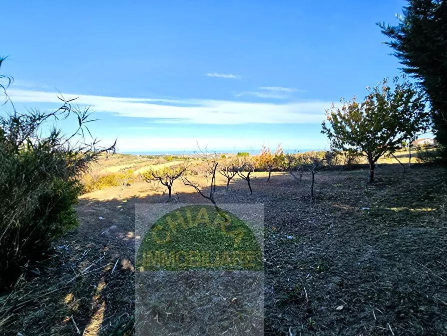 Immagine 17 di Terreno agricolo in vendita  a Cupello