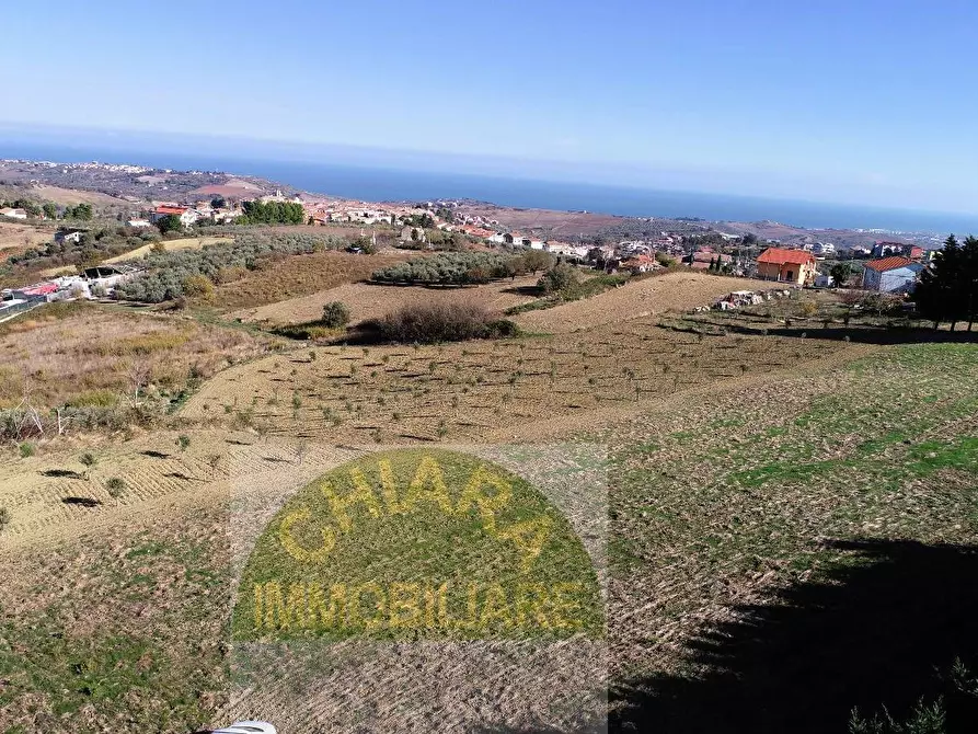Immagine 5 di Terreno agricolo in vendita  a Cupello
