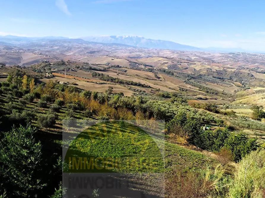 Immagine 9 di Terreno agricolo in vendita  a Cupello