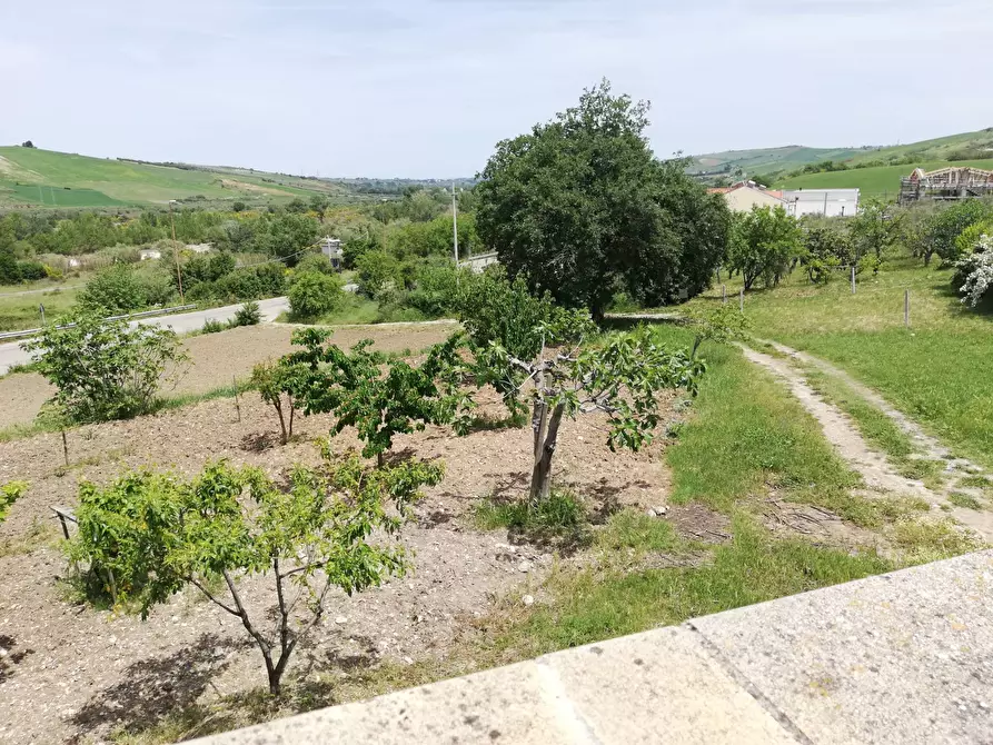 Immagine 41 di Casa indipendente in vendita  in Contrada Pianospedale 69 a Gissi