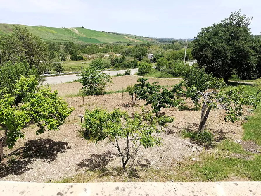 Immagine 31 di Casa indipendente in vendita  in Contrada Pianospedale 69 a Gissi