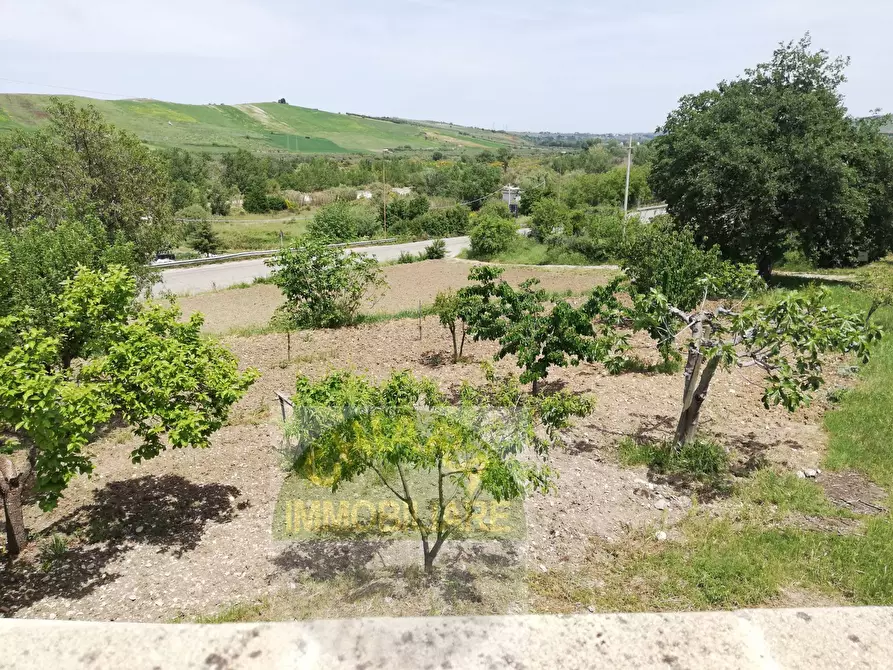 Immagine 42 di Casa indipendente in vendita  in Contrada Pianospedale 69 a Gissi