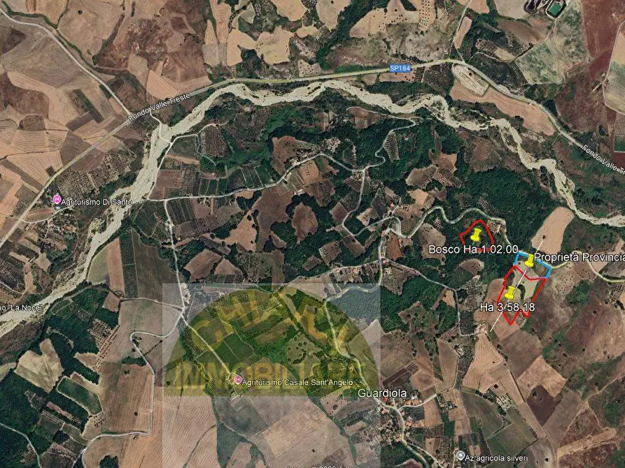 Immagine 3 di Terreno agricolo in vendita  in Piana della Guardiola 53 a Carunchio