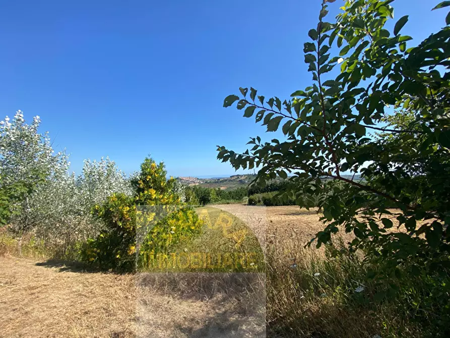 Immagine 8 di Terreno agricolo in vendita  a Cupello