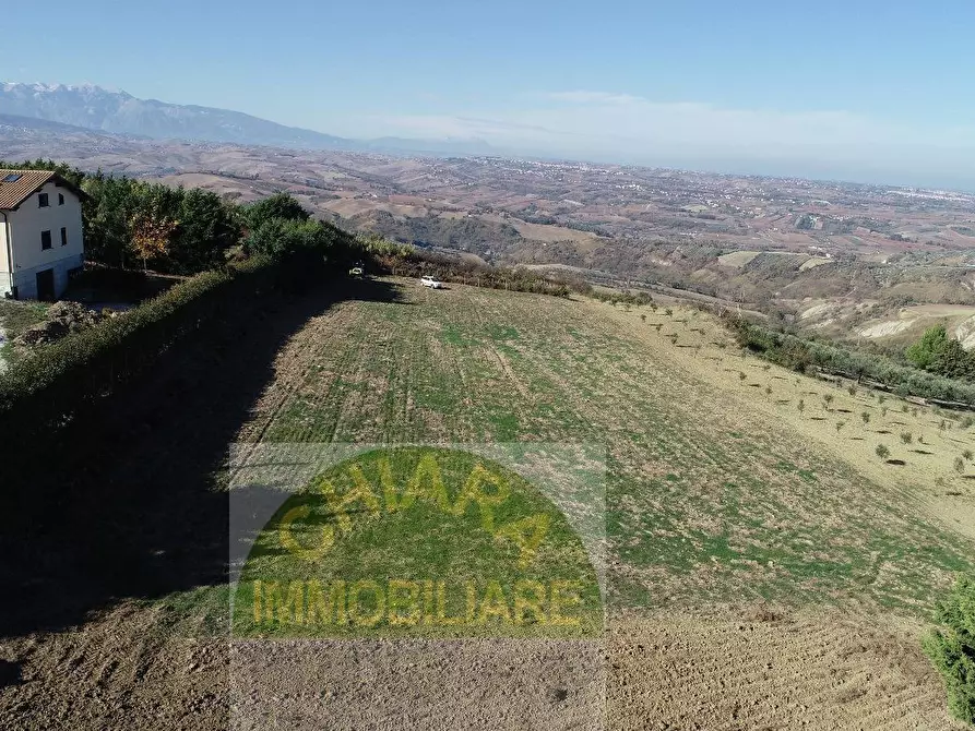 Immagine 18 di Terreno agricolo in vendita  a Cupello