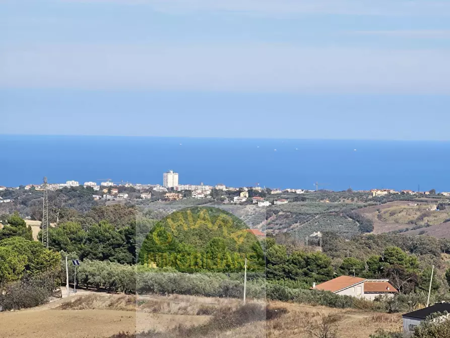 Immagine 2 di Terreno agricolo in vendita  a Cupello