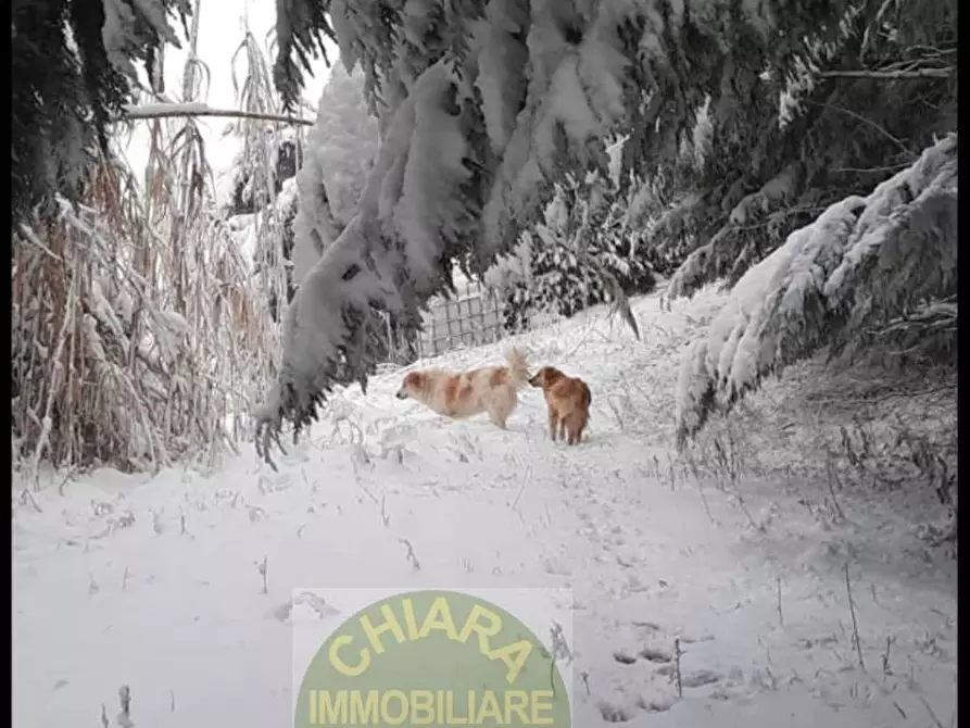 Immagine 20 di Terreno agricolo in vendita  a Cupello