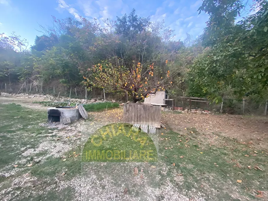 Immagine 24 di Casa indipendente in vendita  in Contrada Selva a Gissi