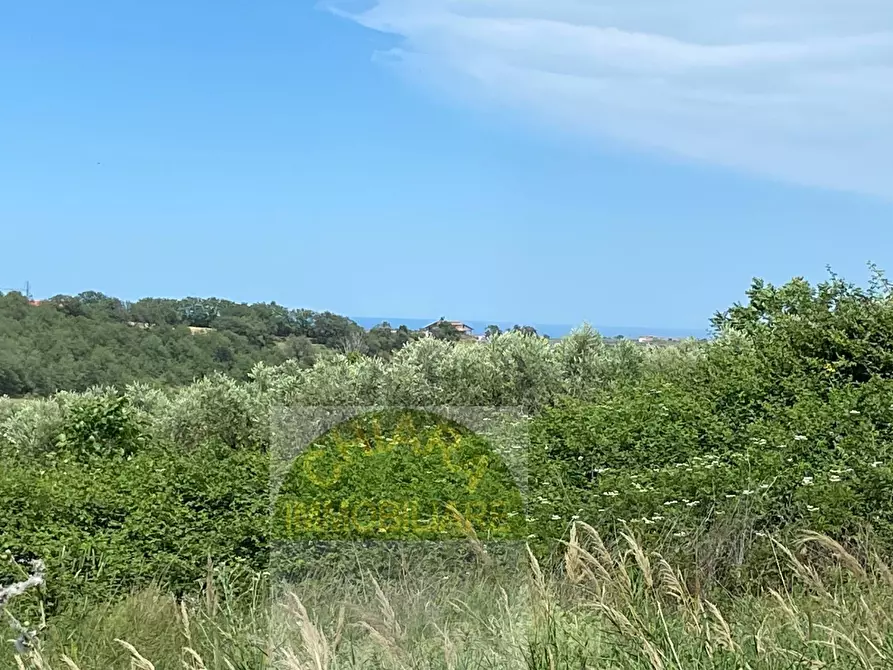 Immagine 23 di Terreno agricolo in vendita  in Contrada Strane snc a Cupello