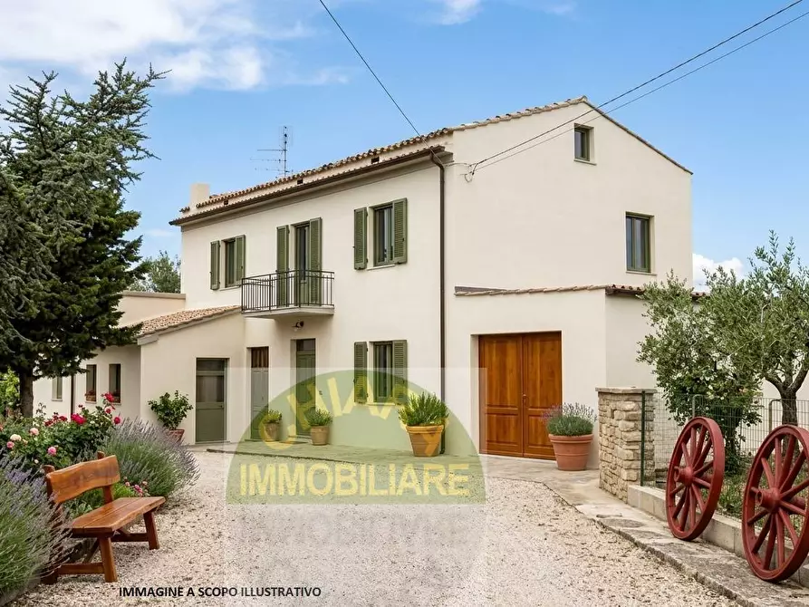 Immagine 3 di Casa indipendente in vendita  in Contrada Reale 1 a Cupello