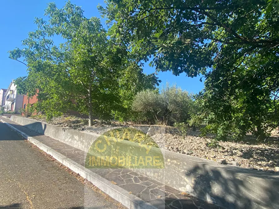 Immagine 33 di Villa in vendita  in via Vicenne II 11 a Carunchio
