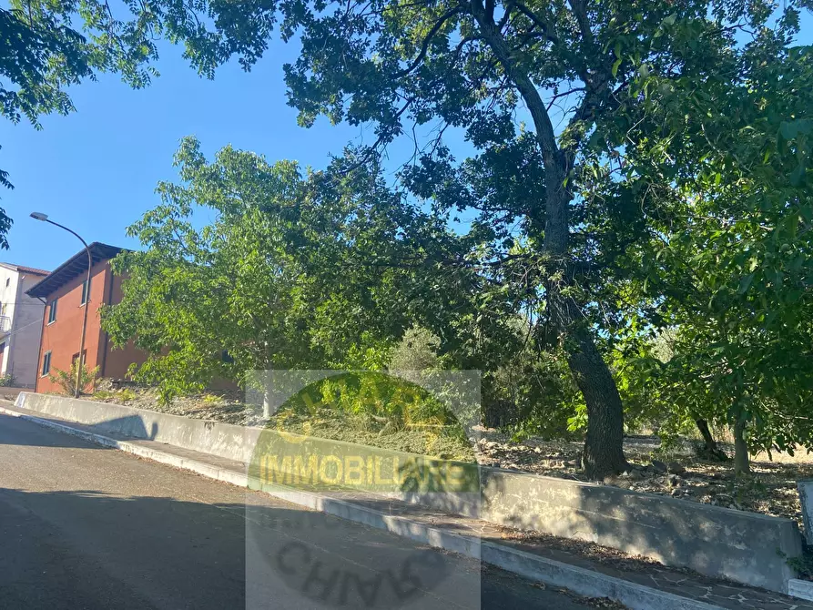 Immagine 2 di Villa in vendita  in via Vicenne II 11 a Carunchio