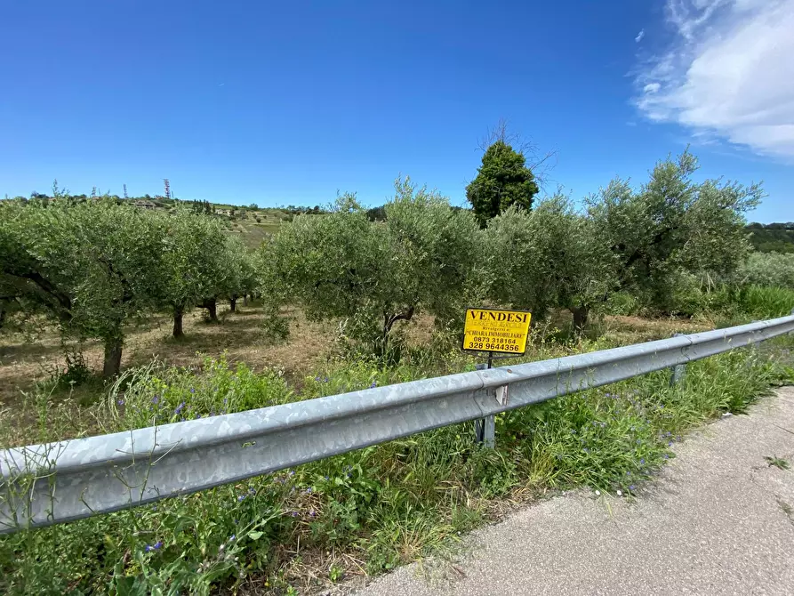 Immagine 3 di Terreno agricolo in vendita  in Contrada Strane snc a Cupello