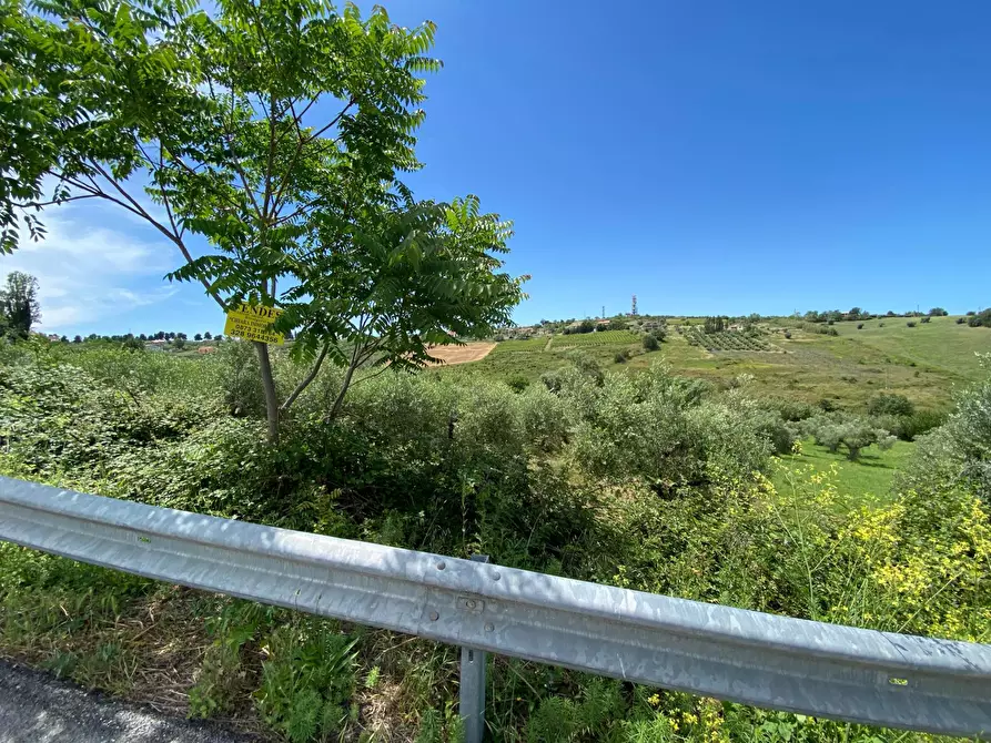 Immagine 8 di Terreno agricolo in vendita  in Contrada Strane snc a Cupello