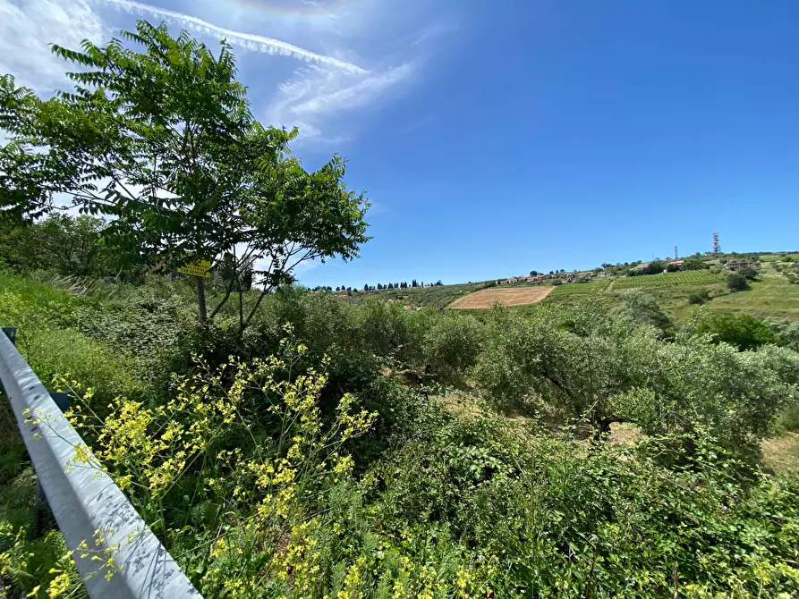 Immagine 10 di Terreno agricolo in vendita  in Contrada Strane snc a Cupello