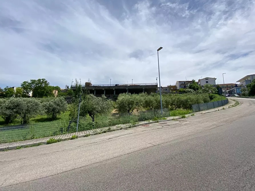Immagine 14 di Terreno agricolo in vendita  in Contrada Strane snc a Cupello