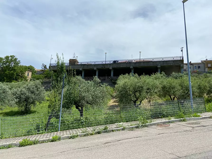 Immagine 15 di Terreno agricolo in vendita  in Contrada Strane snc a Cupello