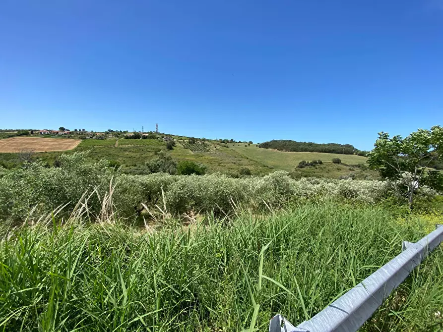 Immagine 12 di Terreno agricolo in vendita  in Contrada Strane snc a Cupello