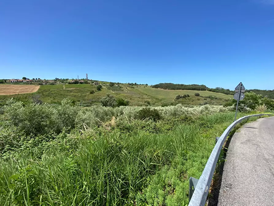 Immagine 13 di Terreno agricolo in vendita  in Contrada Strane snc a Cupello
