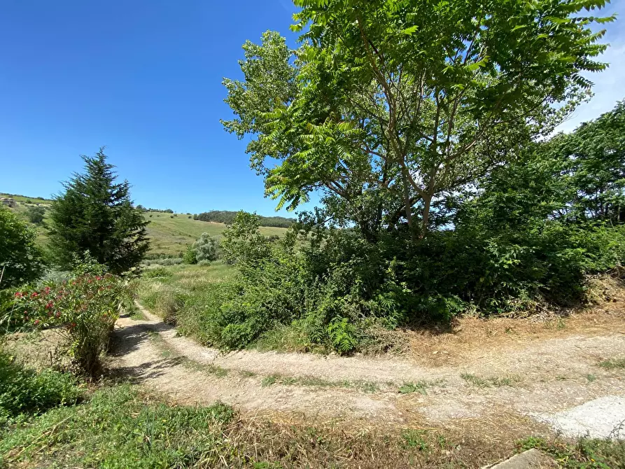 Immagine 11 di Terreno agricolo in vendita  in Contrada Strane snc a Cupello