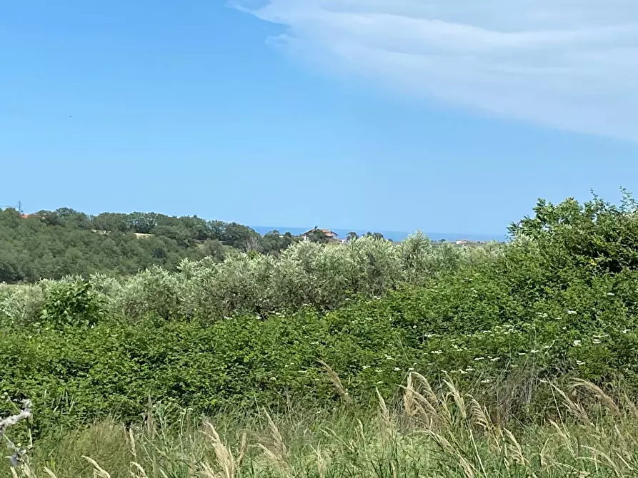 Immagine 1 di Terreno agricolo in vendita  in Contrada Strane snc a Cupello