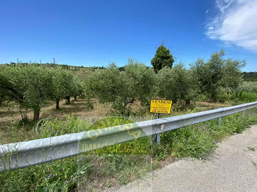 Immagine 4 di Terreno agricolo in vendita  in Contrada Strane snc a Cupello