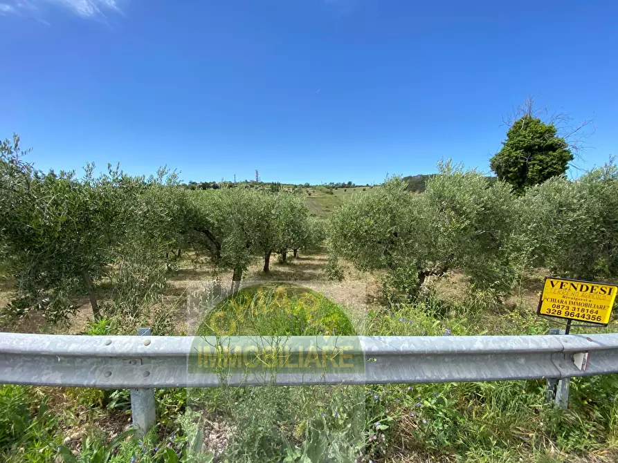 Immagine 5 di Terreno agricolo in vendita  in Contrada Strane snc a Cupello
