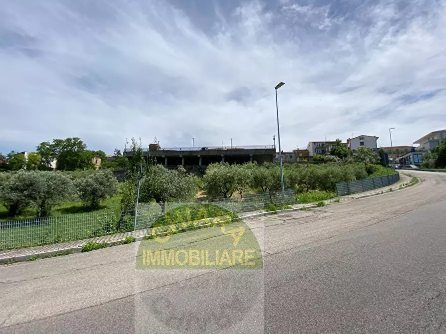Immagine 8 di Terreno agricolo in vendita  in Contrada Strane snc a Cupello