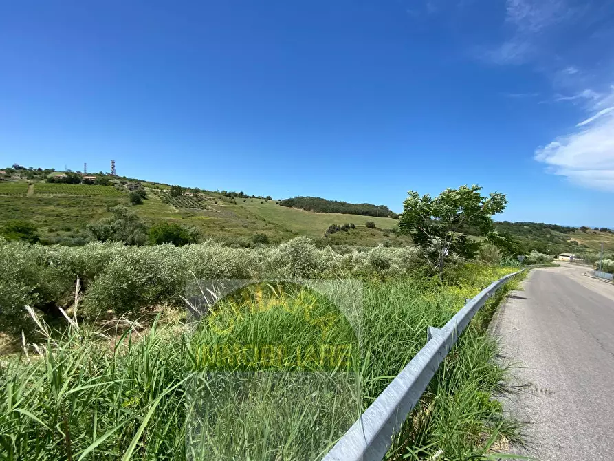 Immagine 11 di Terreno agricolo in vendita  in Contrada Strane snc a Cupello