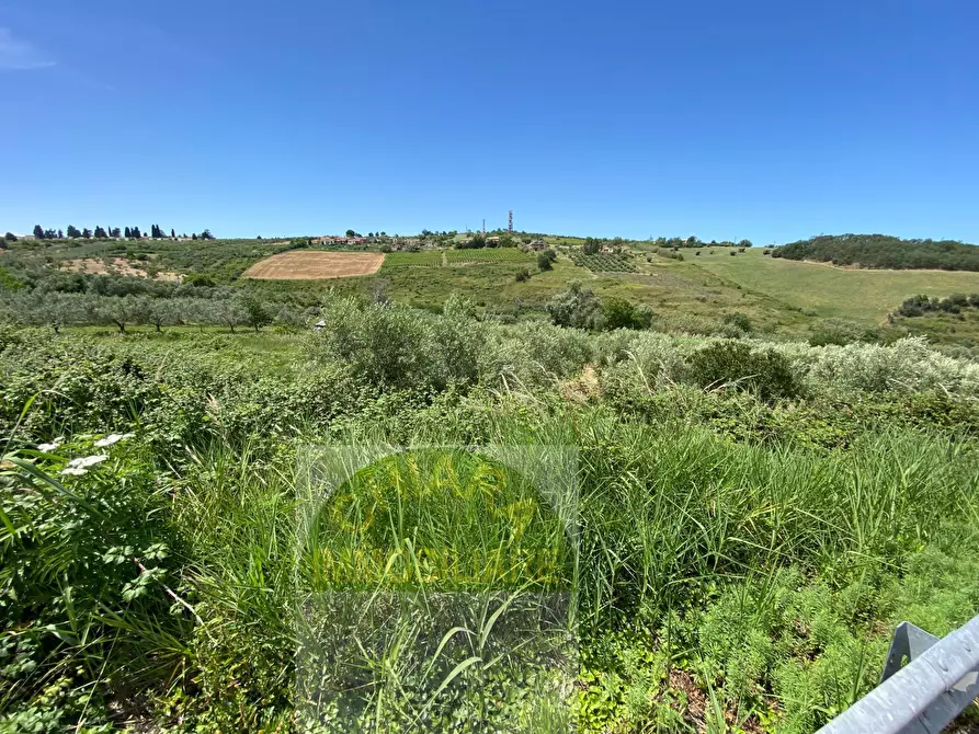 Immagine 14 di Terreno agricolo in vendita  in Contrada Strane snc a Cupello