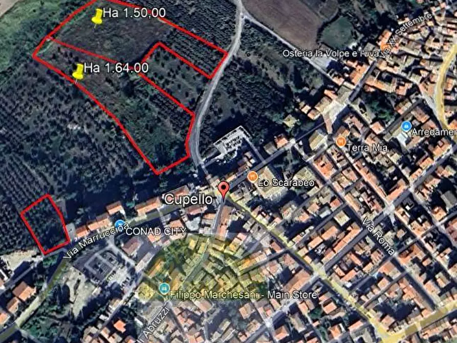Immagine 22 di Terreno agricolo in vendita  in Contrada Strane snc a Cupello