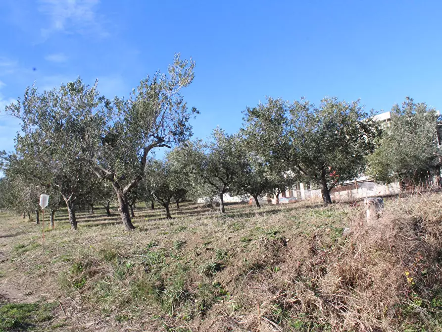 Immagine 17 di Terreno residenziale in vendita  in via Aldo Moro a Cupello