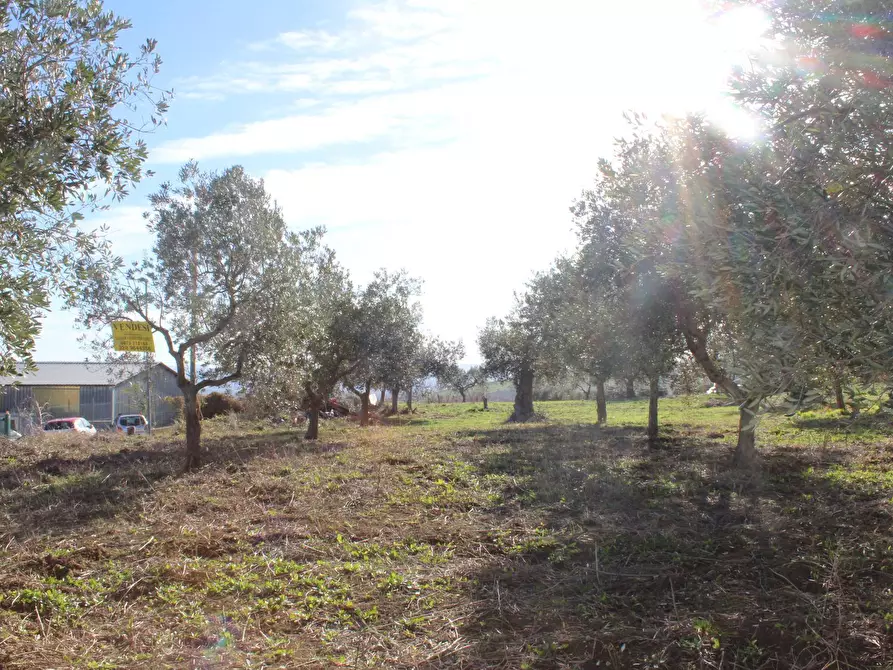 Immagine 14 di Terreno residenziale in vendita  in via Aldo Moro a Cupello