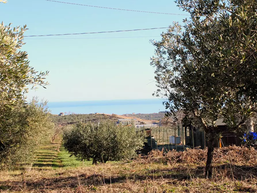 Immagine 5 di Terreno residenziale in vendita  in via Aldo Moro a Cupello
