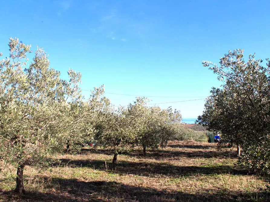 Immagine 9 di Terreno residenziale in vendita  in via Aldo Moro a Cupello