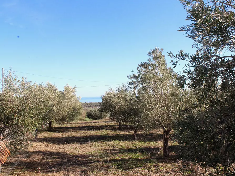 Immagine 10 di Terreno residenziale in vendita  in via Aldo Moro a Cupello