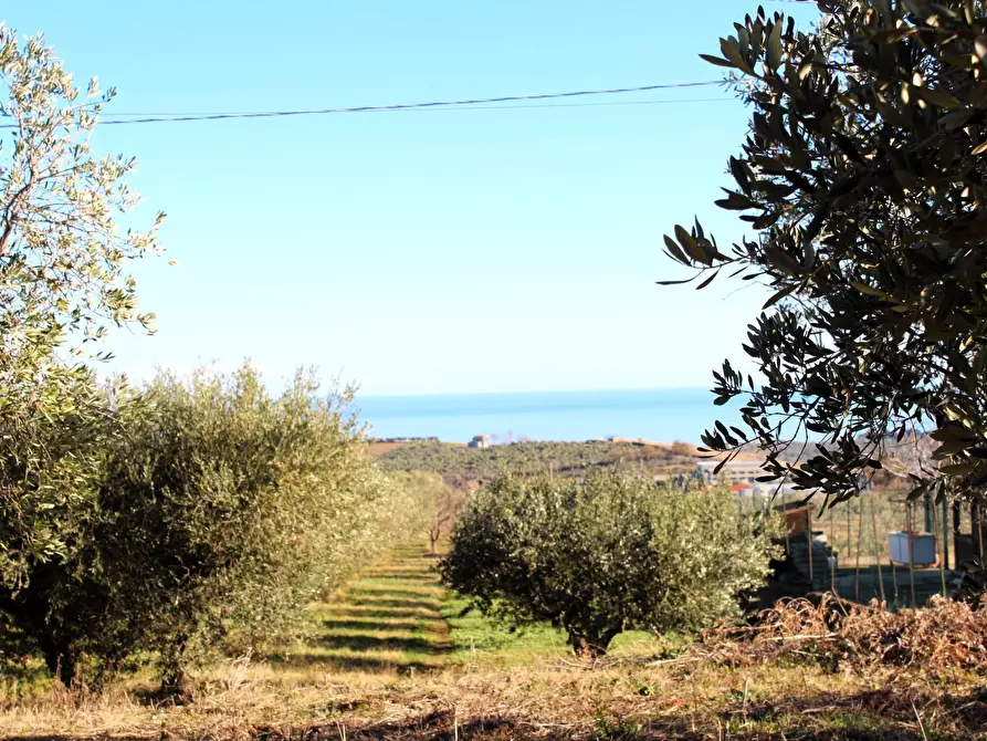 Immagine 2 di Terreno residenziale in vendita  in via Aldo Moro a Cupello