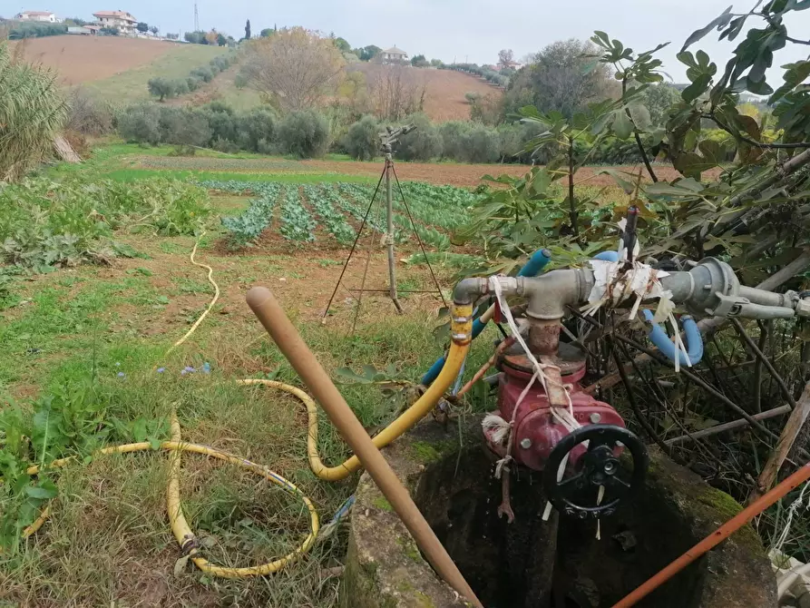 Immagine 4 di Terreno agricolo in vendita  in Case di Trento a Giulianova