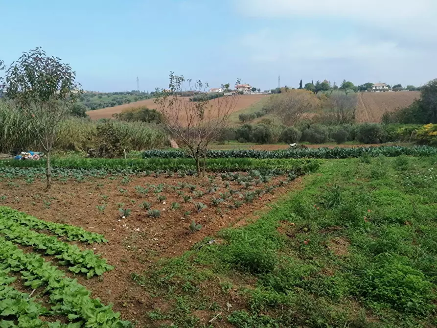Immagine 5 di Terreno agricolo in vendita  in Case di Trento a Giulianova