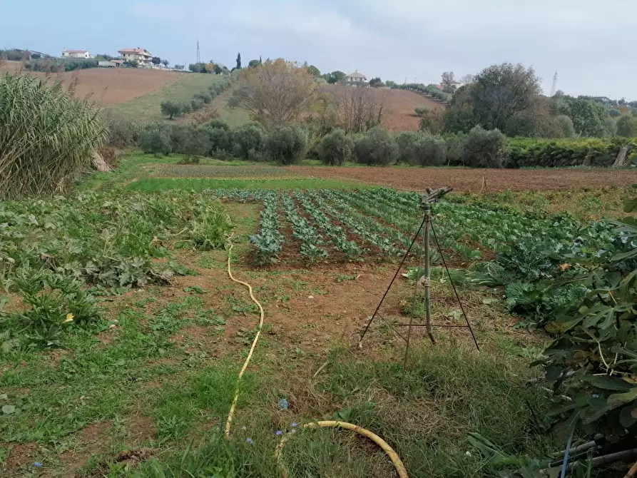 Immagine 8 di Terreno agricolo in vendita  in Case di Trento a Giulianova