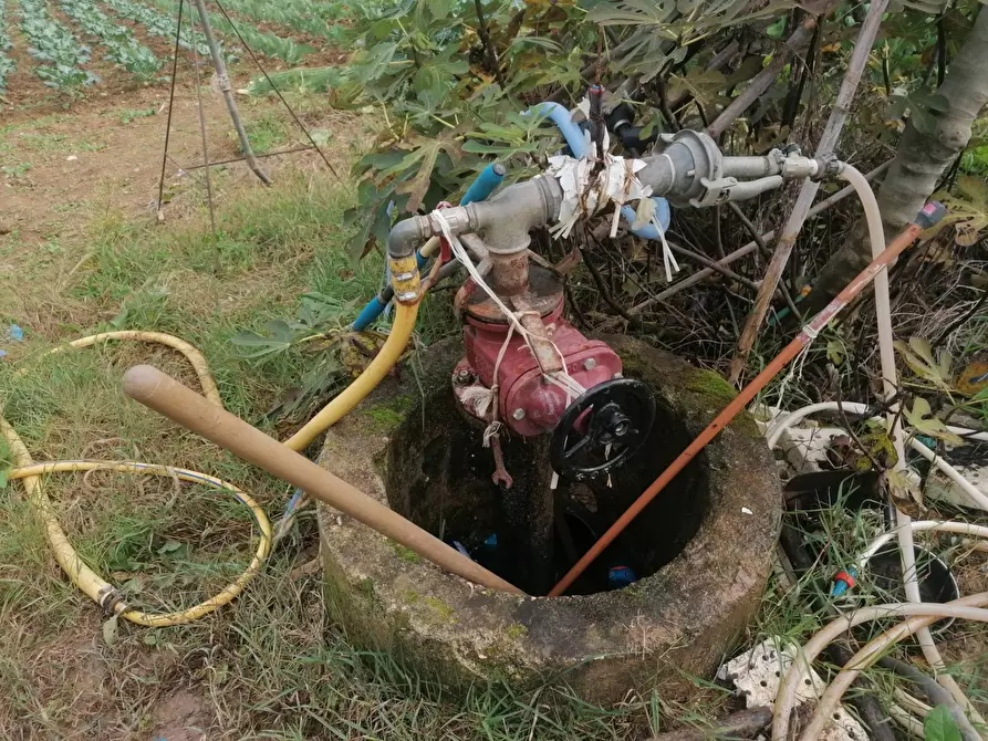 Immagine 10 di Terreno agricolo in vendita  in Case di Trento a Giulianova