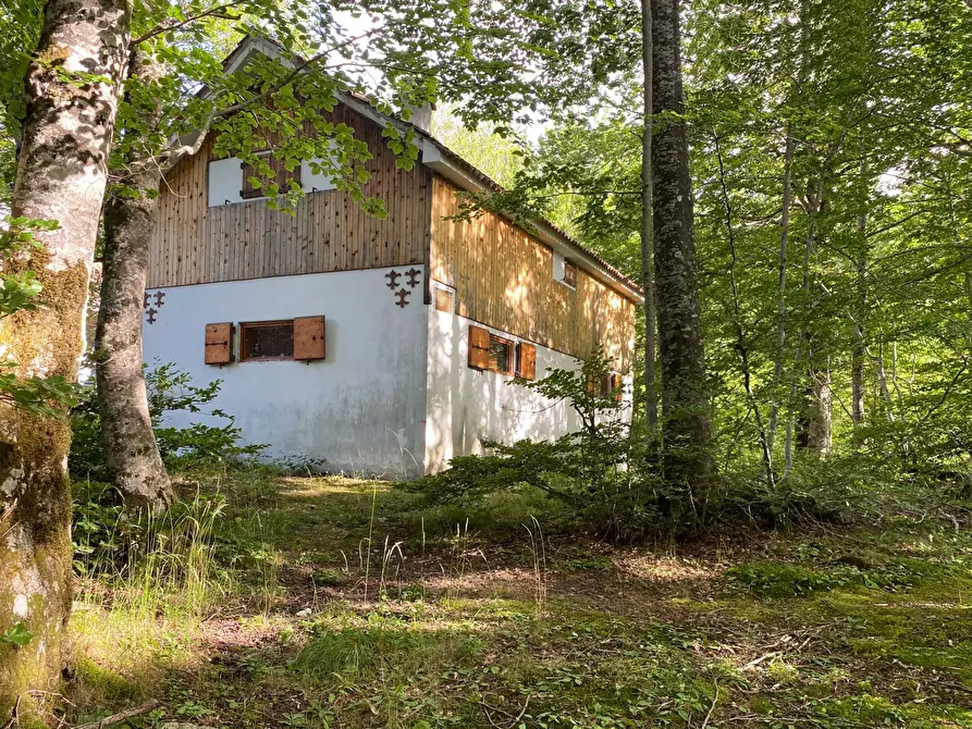 Immagine 6 di Baita in vendita  in SP 43 4 a Pietracamela